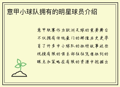 意甲小球队拥有的明星球员介绍