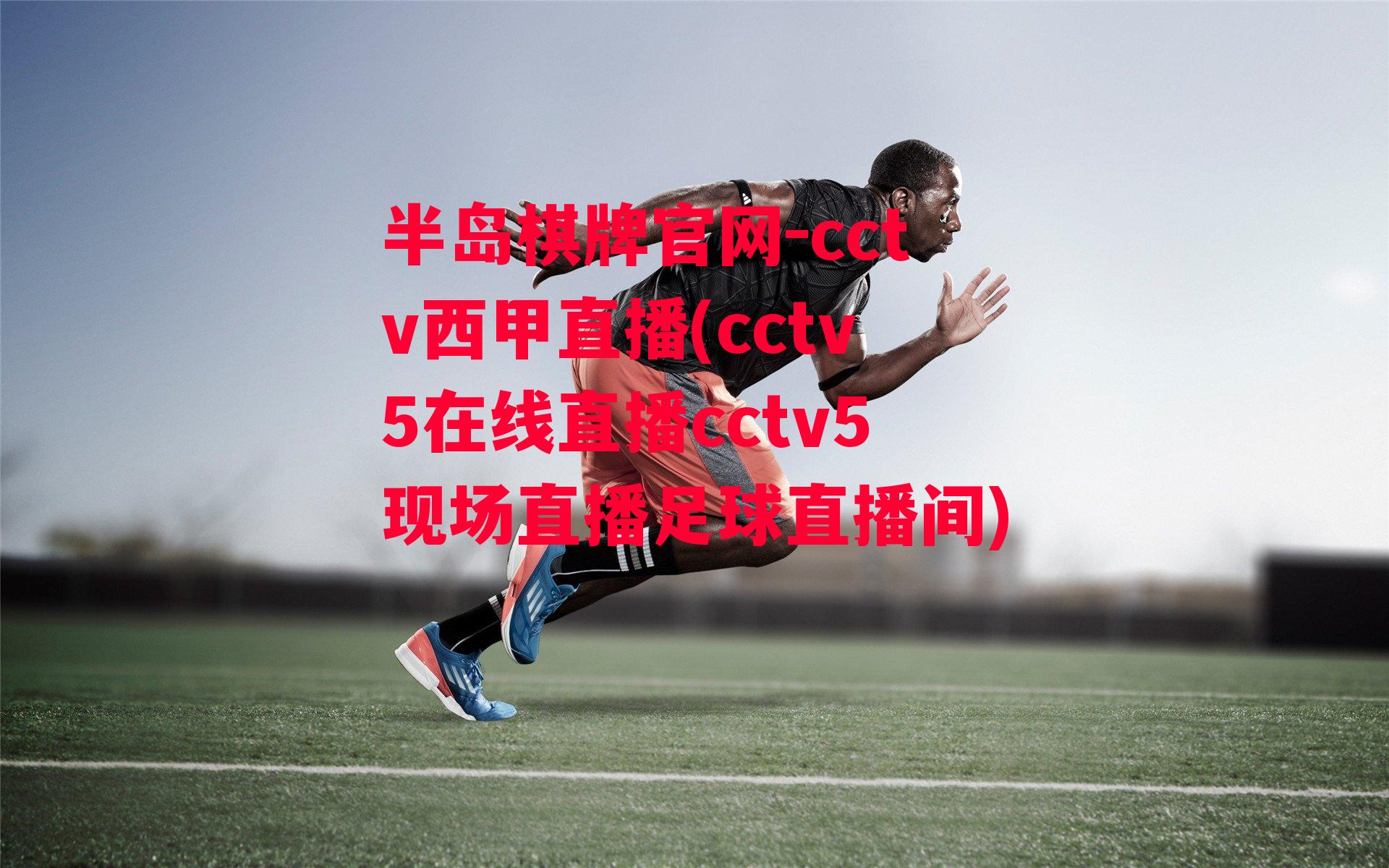 cctv西甲直播(cctv5在线直播cctv5现场直播足球直播间)